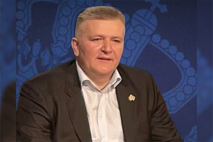 слика чланка