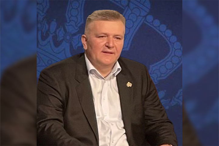 слика чланка